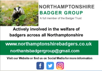 Badger group image