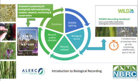Biological record cycle